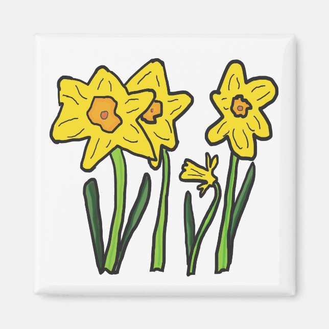 Íman Daffodil (Frente)
