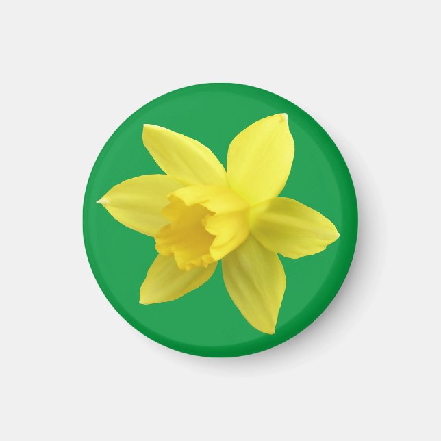 Íman Daffodil Amarelo em Verde (Frente)