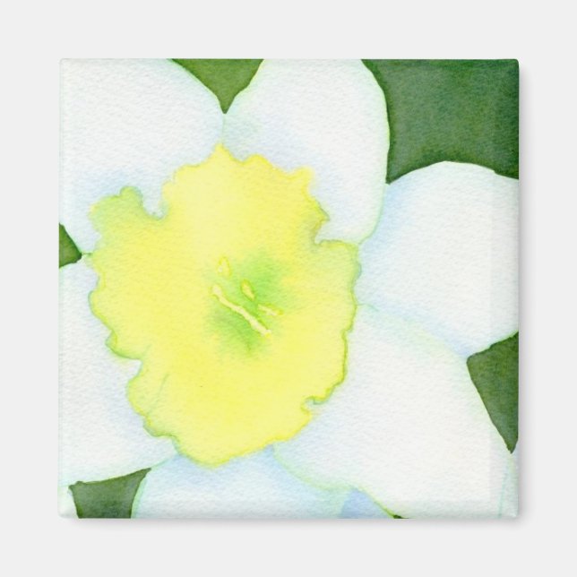 Íman Daffodil Magnet (Frente)