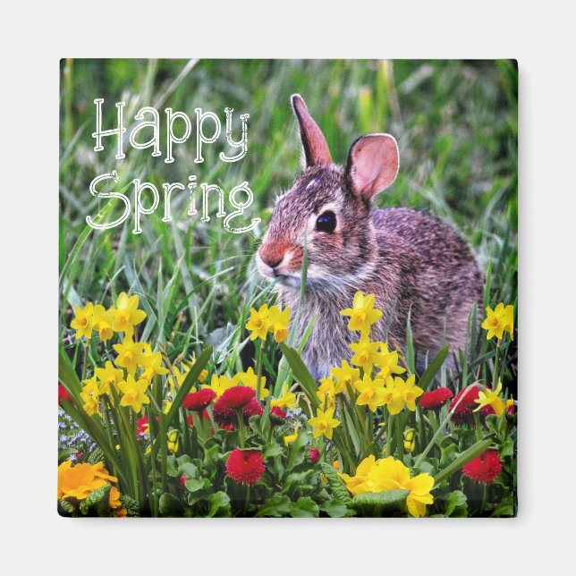 Íman Daffodils e wILD Rabbit Magnet (Frente)