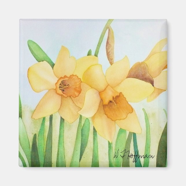 Íman Daffodils Magnet (Frente)