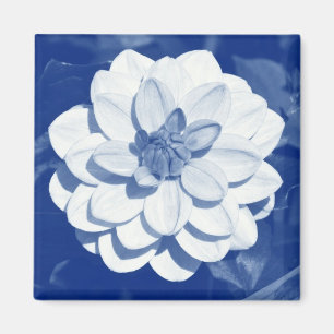 Íman Dahlia - Cianótipo Digital
