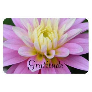 Íman Dahlia Gratitude Magnet