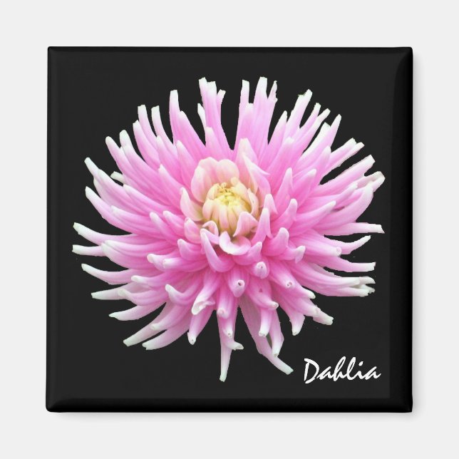 Íman Dahlia Magnet (Frente)