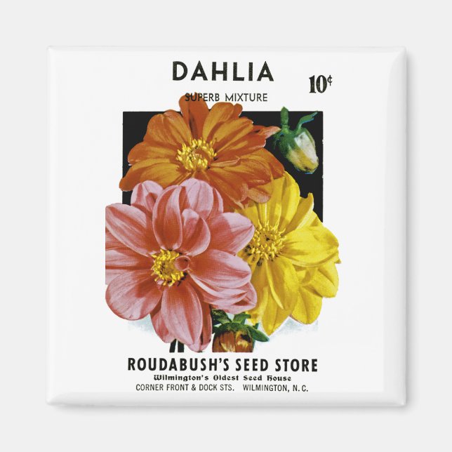 Íman Dahlia Vintage Seed Packet (Frente)