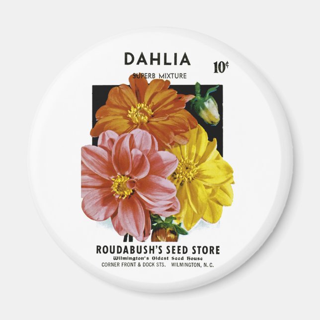 Íman Dahlia Vintage Seed Packet (Frente)
