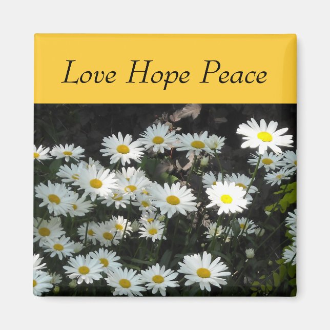 Íman Daisies (Frente)