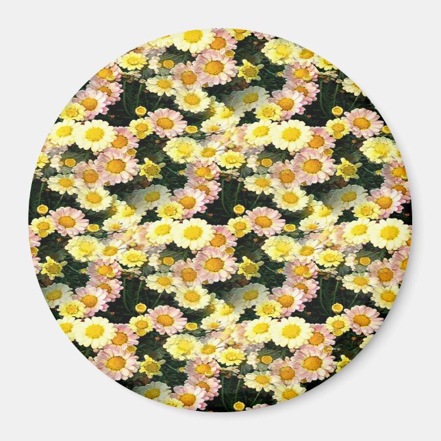 Íman Daisies Galore...... (Frente)