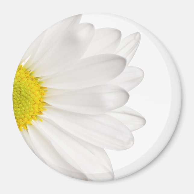Íman Daisies Personalizadas de Fundo de Daisy Flower Br (Frente)