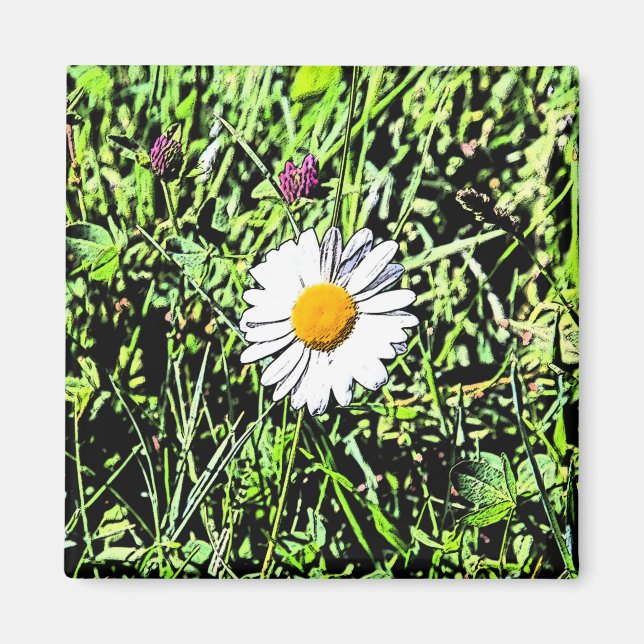 Íman Daisy (Frente)