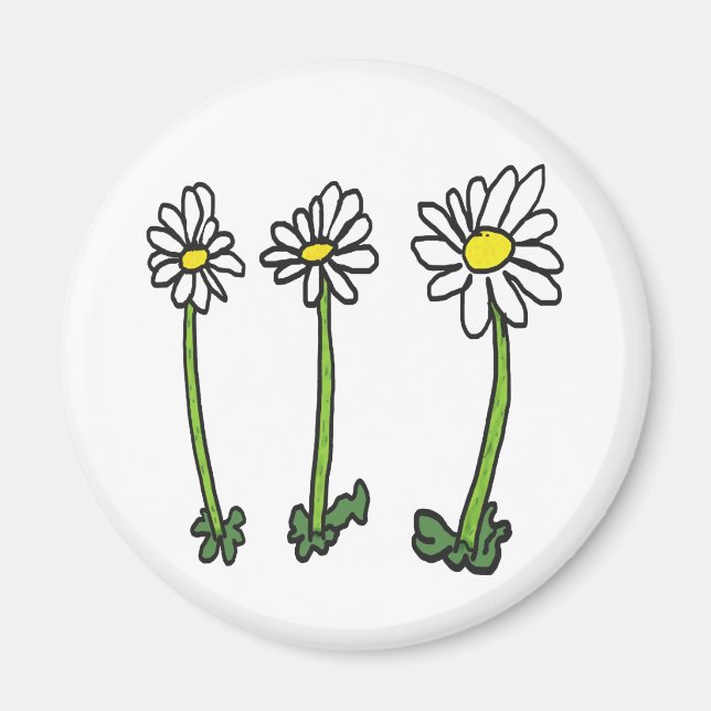 Íman Daisy (Frente)