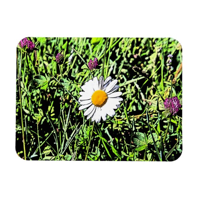 Íman Daisy (Horizontal)