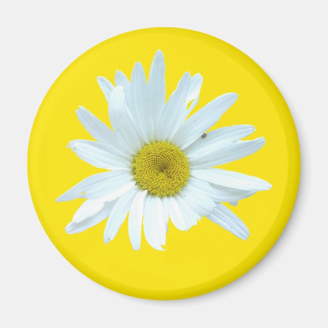 Íman Daisy Magnet (Frente)