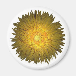 Íman Daisy Magnet