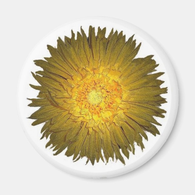 Íman Daisy Magnet (Frente)