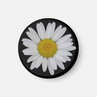 Íman Daisy On Black Magnet