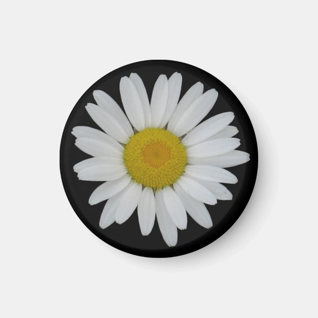 Íman Daisy On Black Magnet (Frente)