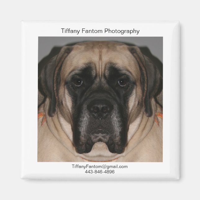 Íman Daisy Promo (Frente)