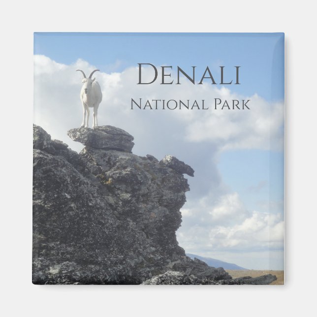 Íman Dall Sheep Atop Mount Wright, Denali NP, Alaska (Frente)