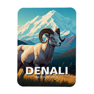 Íman Dall Sheep no Parque Nacional de Denali no Alasca