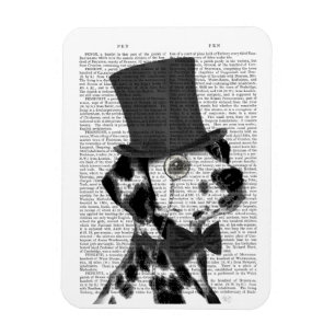 Íman Dalmácia, Formal Hound e Chapéu