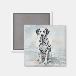 Íman Dalmata