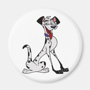 Íman Dalmatian