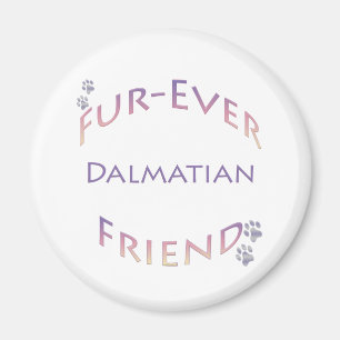 Íman Dalmatian Fuore