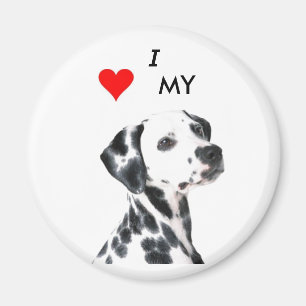 Íman dalmation1, VBRSMCA27ZNVGCAQG0F1BCAMZLQ8CCA0X9H…