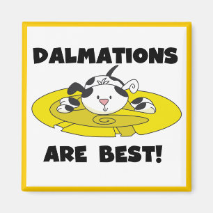 Íman Dalmations é os melhores t-shirt e presentes