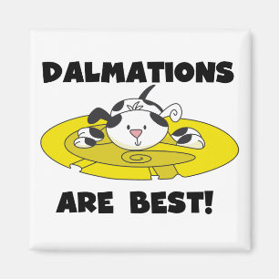 Íman Dalmations é os melhores t-shirt e presentes