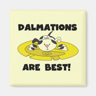 Íman Dalmations é os melhores t-shirt e presentes