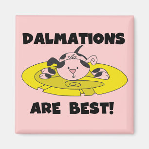 Íman Dalmations é os melhores t-shirt e presentes