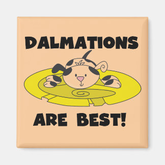 Íman Dalmations são as melhores t-shirts e presentes