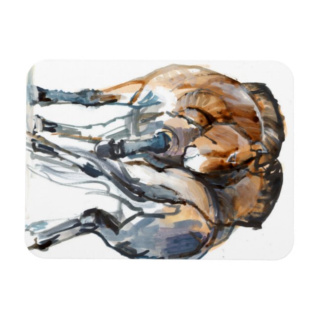 Íman Dança de energia (Horizontal)