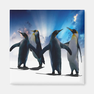 Íman Dança dos pinguins