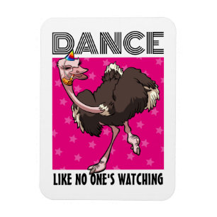 Íman Dança Estranha de Avestruz Dançe Como Se Ninguém E