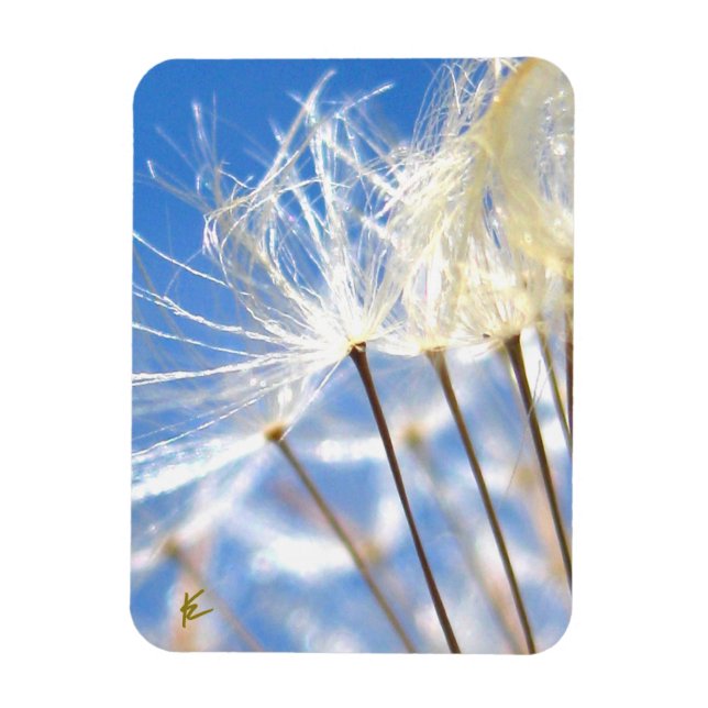 Íman Dancing Dandelion Poof, Happy, Joyful, Nature (Vertical)