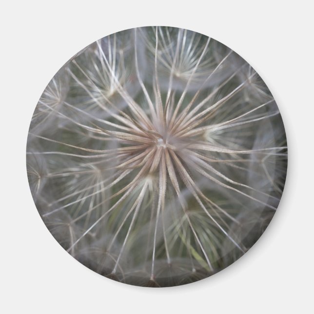 Íman Dandelion (Frente)