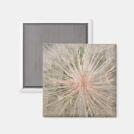 Íman Dandelion Close Magnet