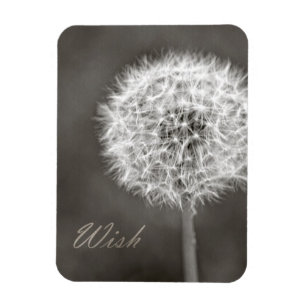 Íman Dandelion de desejo inspirado