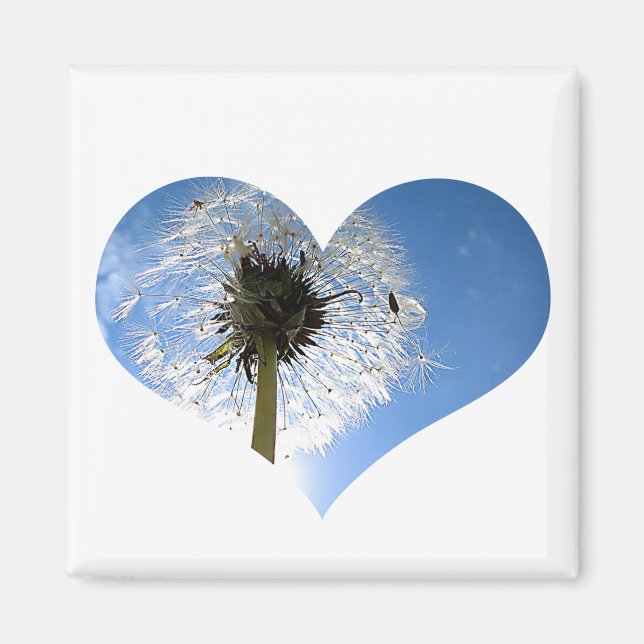 Íman Dandelion Heart Magnet (Frente)
