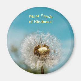 Íman Dandelion Magnet Plant Seeds of Kindy