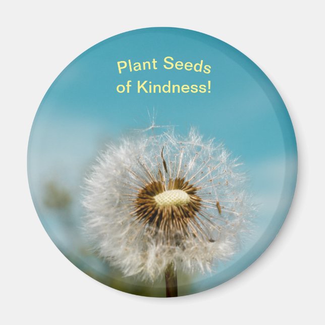 Íman Dandelion Magnet Plant Seeds of Kindy (Frente)