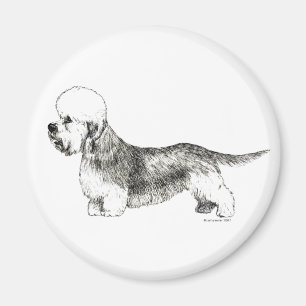 Íman Dandie Dinmont Terrier