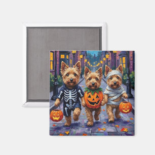 Íman Dandie Dinmont Terrier Pedindo Doces no Halloween
