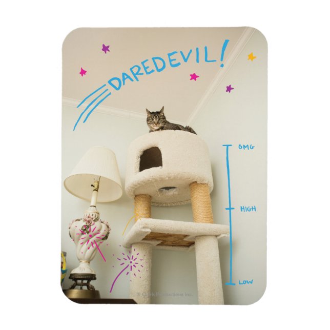 Íman Daredevil Cat (Vertical)