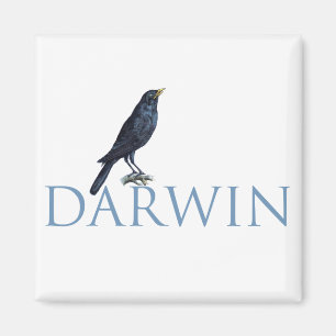Íman Darwin