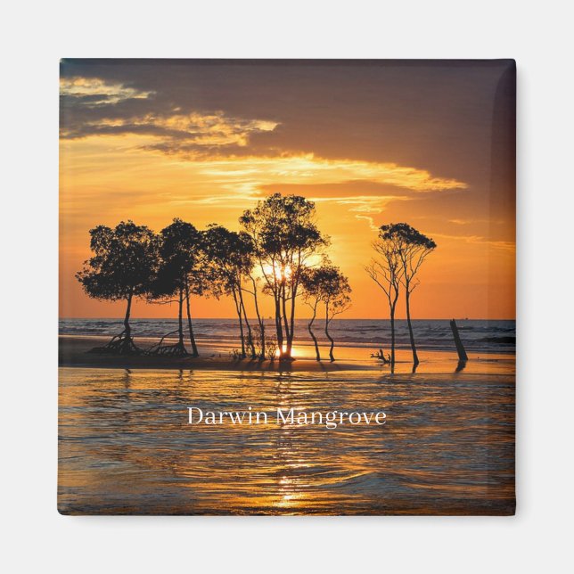 Íman Darwin mangrove, Austrália, (Frente)