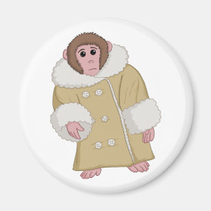 Íman Darwin que Ikea Monkey